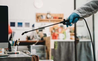 4 Things in Your Garage That Attract Pests