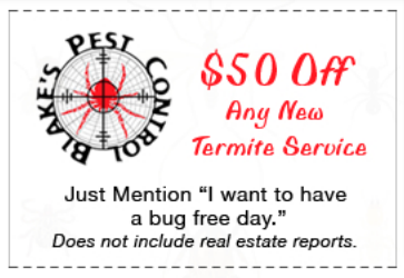 termite service offer