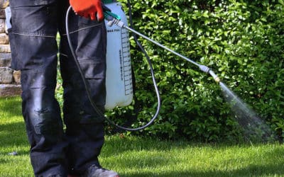 Woodbridge VA Summer Pests: A Homeowner’s Survival Guide