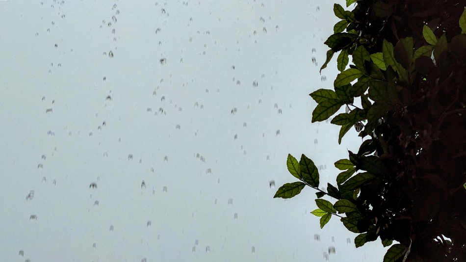 Gloomy rainy day at home