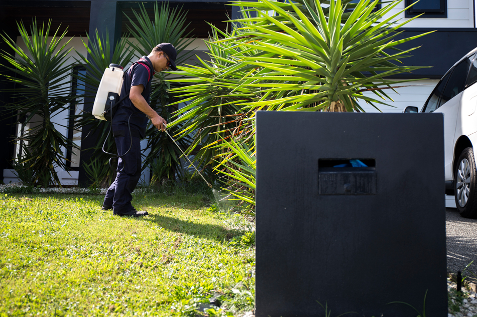 Man spraying a yard